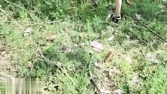 公园放风筝，妹妹户外露出白斩乳房，勾引哥哥小树林里，狂舔骚逼，后入爆操粉嫩骚穴激情内射